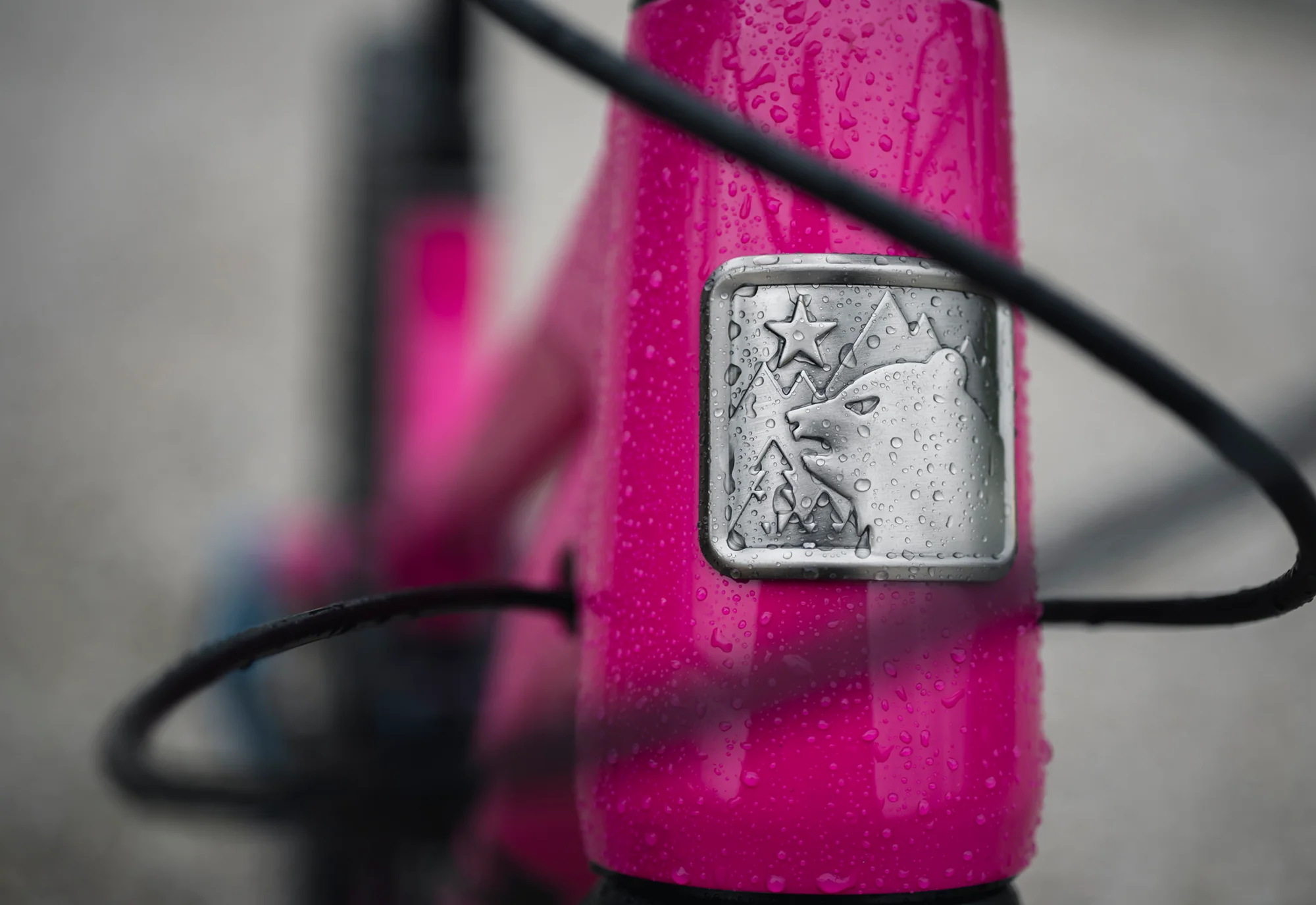 Marin ALPINE TRAIL XR AXS — 4