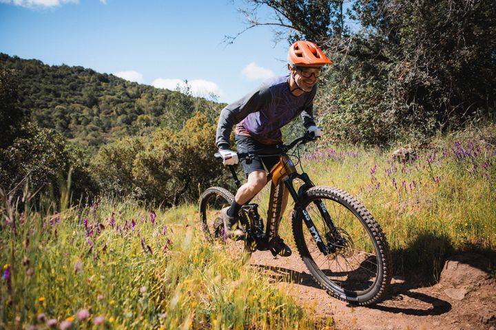Marin Rift Zone EL2 — 5