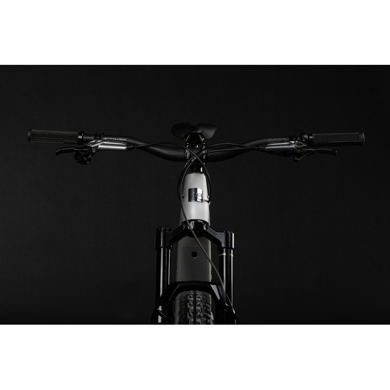 SANTA CRUZ HECKLER SL CC XX AXS RSV MX — 3
