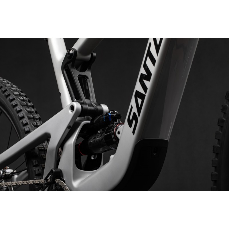 SANTA CRUZ HECKLER SL CC XX AXS RSV MX — 4