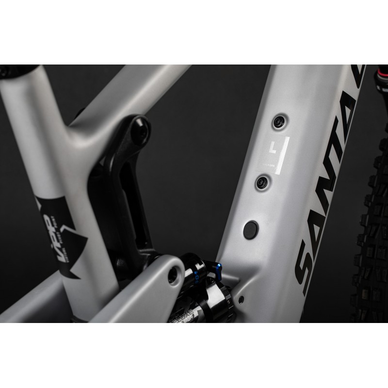 SANTA CRUZ HECKLER SL CC XX AXS RSV MX — 5